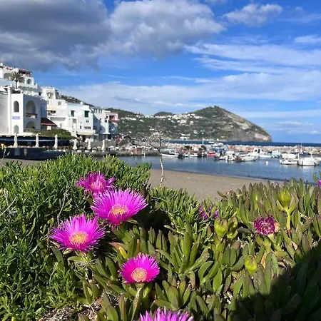 Appartamento Bluoltremare Sant'Angelo (Isola d'Ischia)